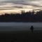 Tramonto e nebbia al Parco di Monza
