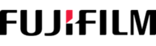 biennale della fotografia femminile mantova